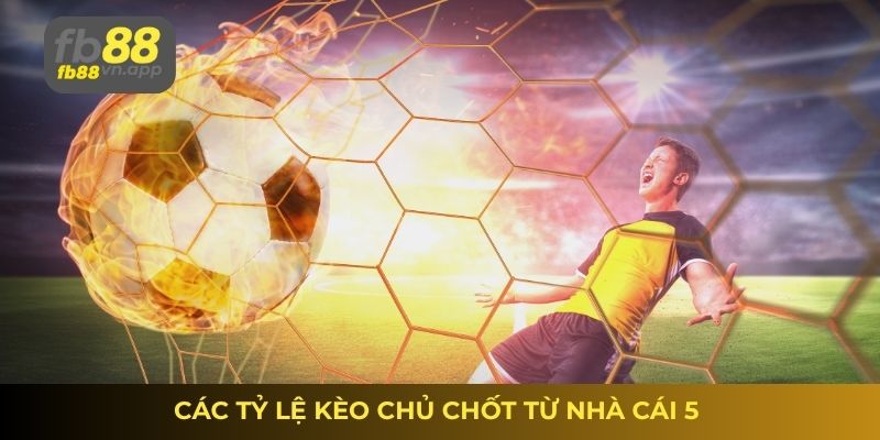 Tỷ lệ kèo nhà cái 5 bóng đá – Nhận định từ chuyên gia 1 Tỷ lệ kèo nhà cái 5